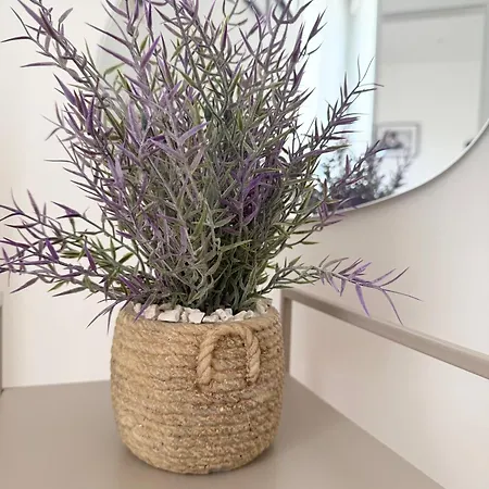 Apartman Antic 1 Pješčana Uvala