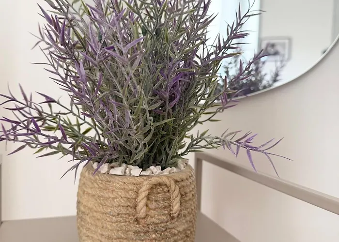 Lejlighed Antic 1 Pjescana Uvala